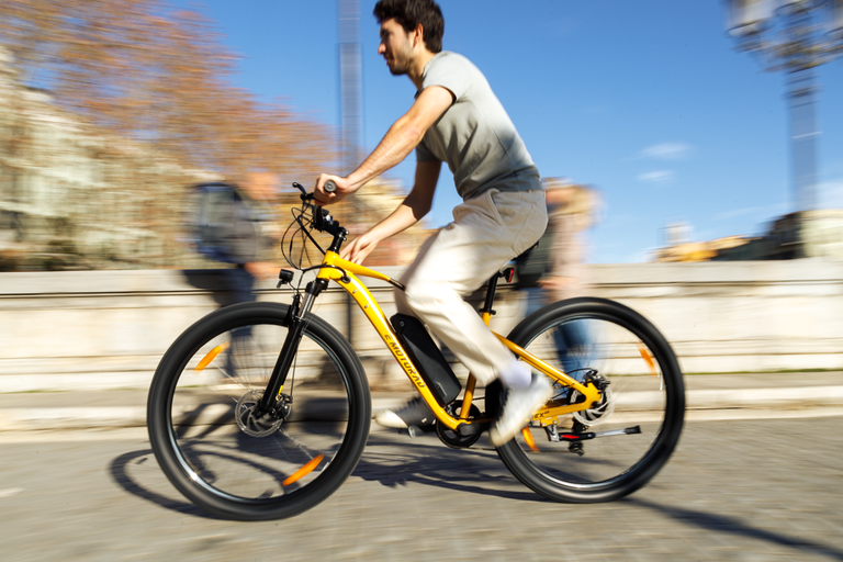 Ciò che rende T-Rex Pro speciale