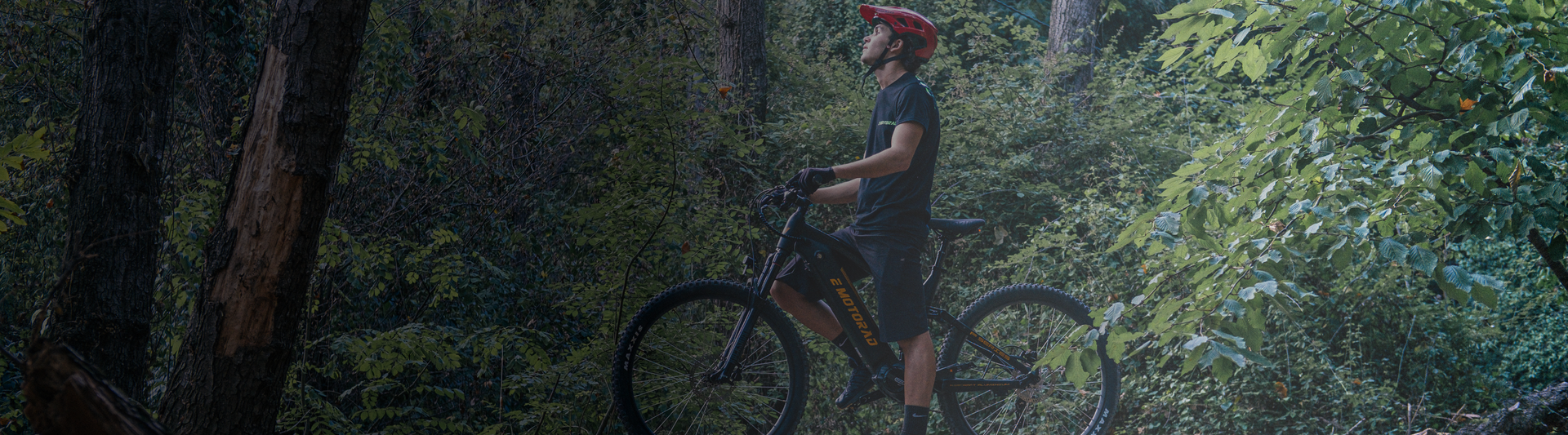 Una bicicletta che ti aiuta a superare ogni ostacolo