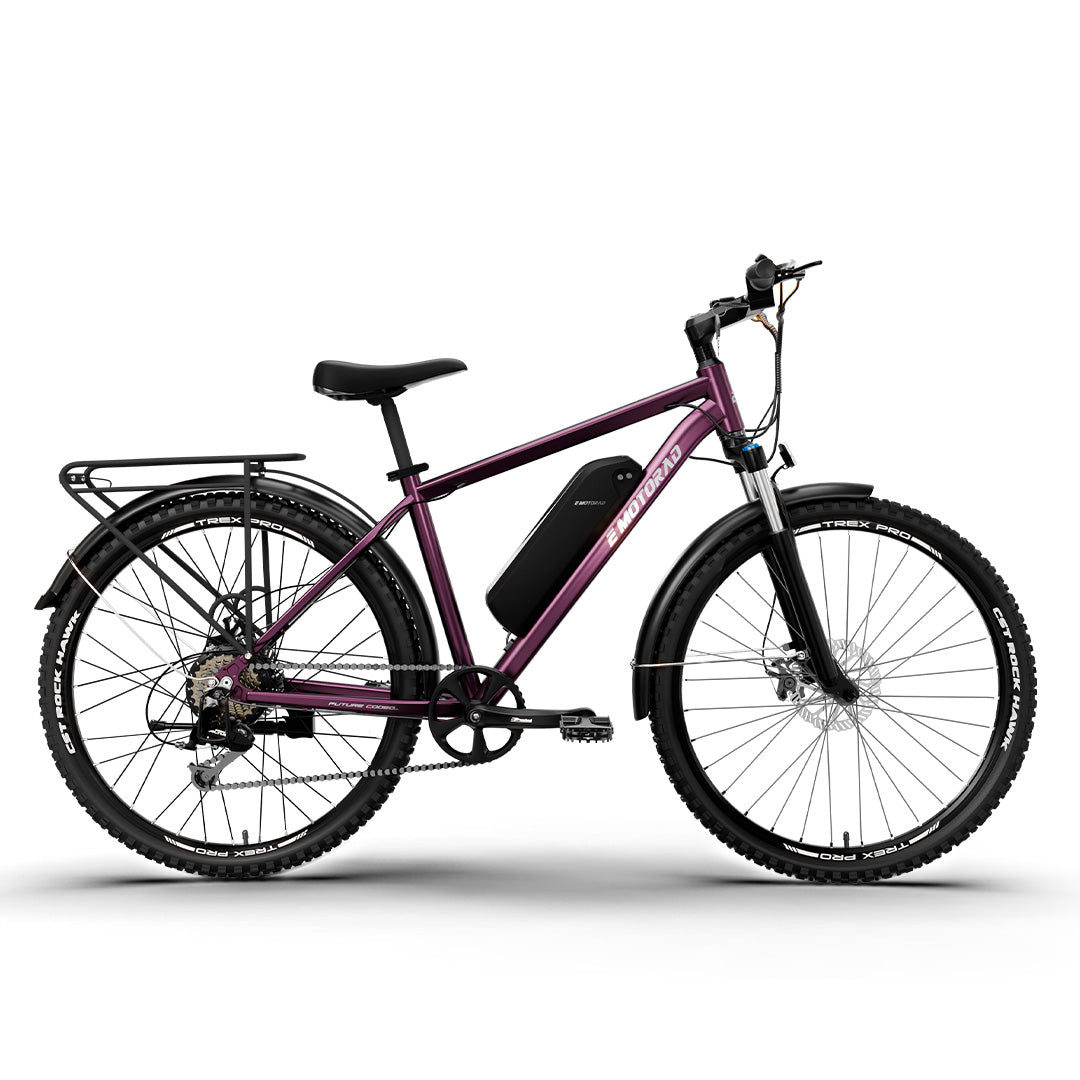 e bike rex alu trekkingrad T-rex Pro – Emotorad